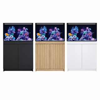 ReefFrame250