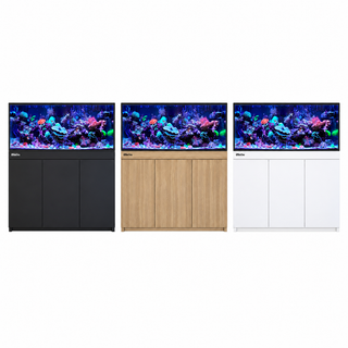 ReefFrame500
