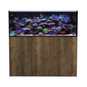Tobacco Oak