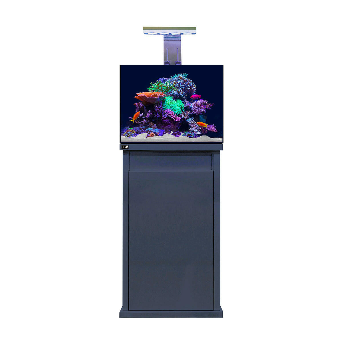 D-D Reef-Pro 600 - Gloss Anthracite (Clarisea Sump).