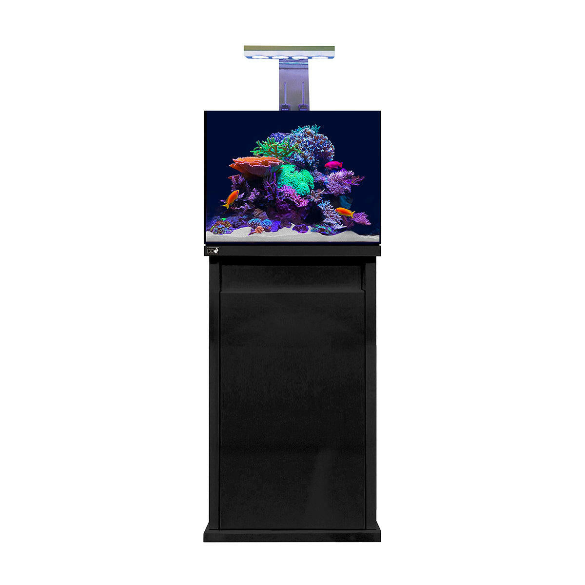 D-D Reef-Pro 600 - Gloss Black (Clarisea Sump).