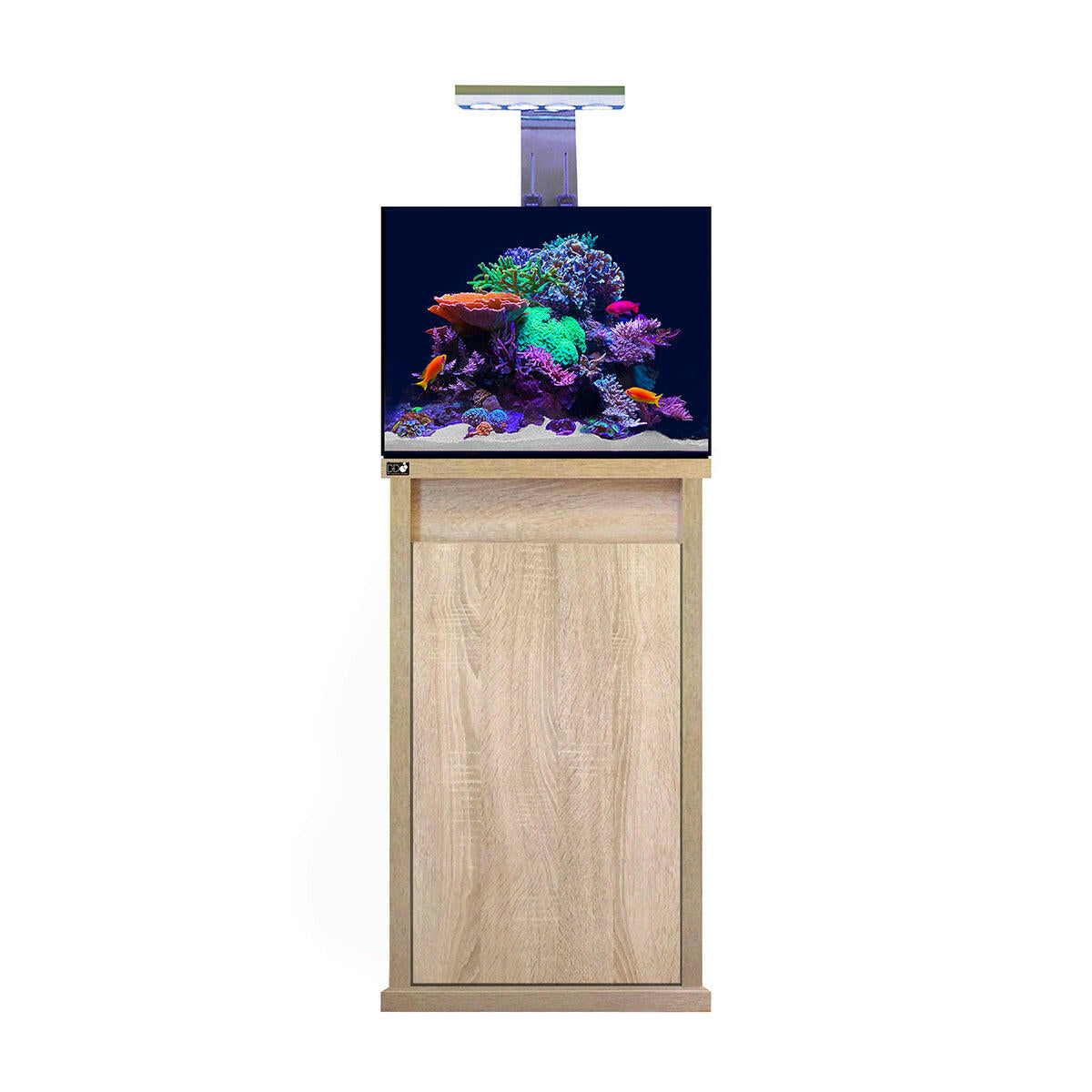 D-D Reef-Pro 600 - Platinum Oak (Clarisea Sump).