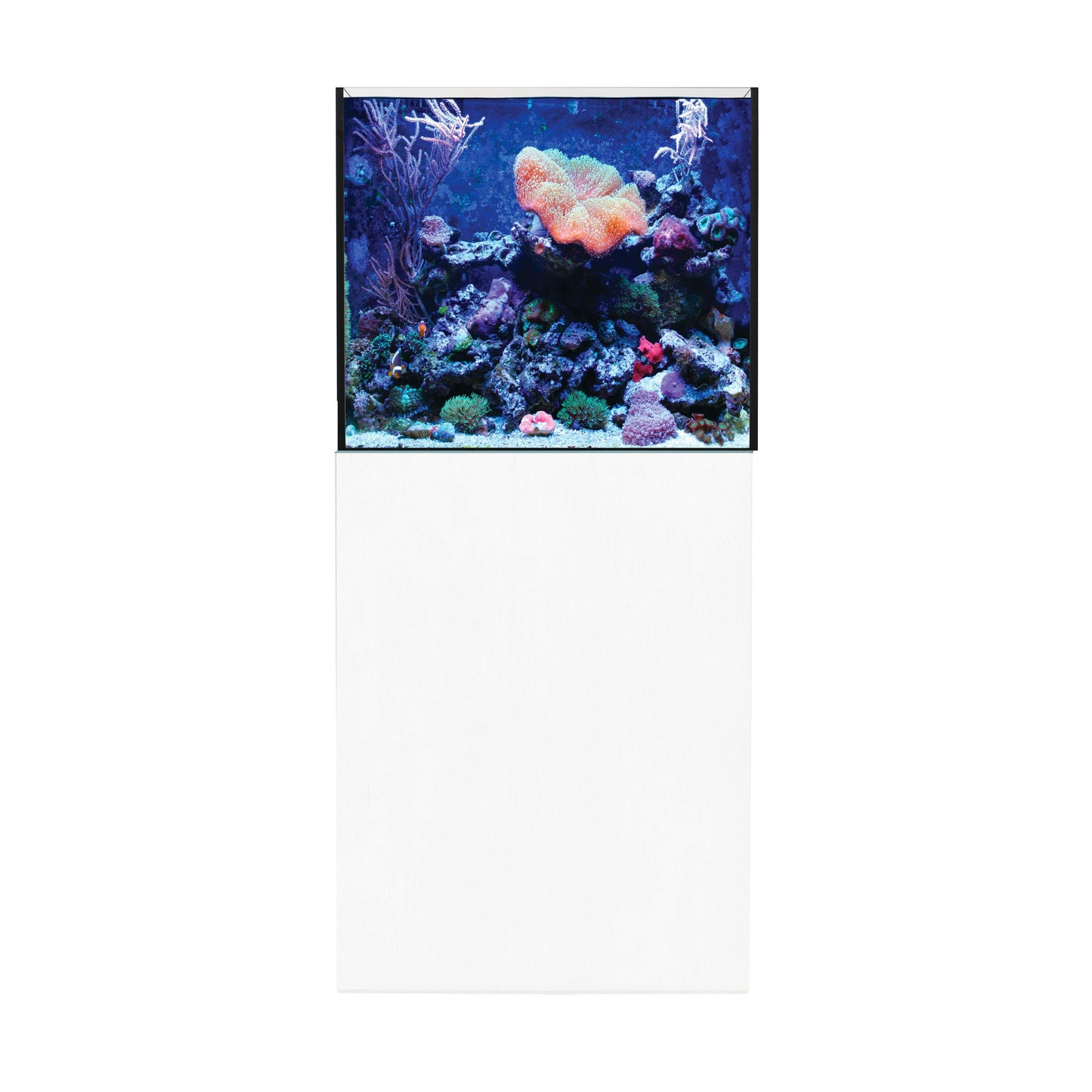 Aqua One ReefSys 180 Aquarium and Cabinet - White