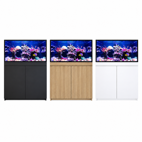 Reef Frame 350