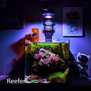 Illumagic Pixel Marine LED.