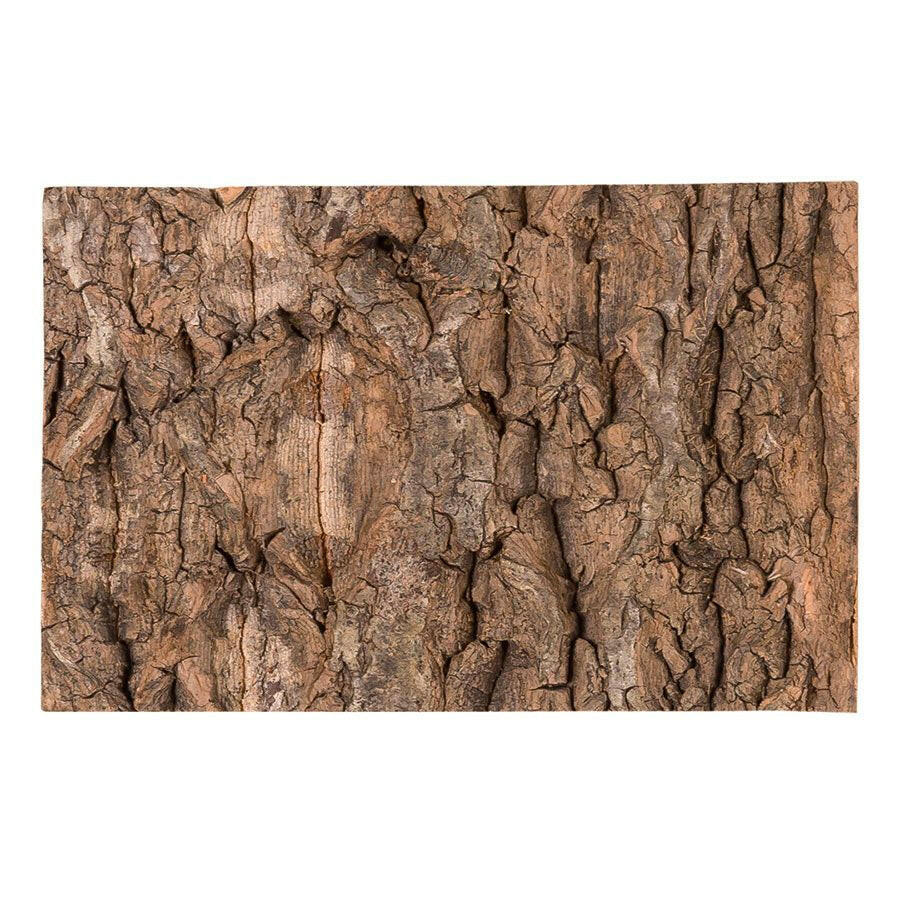 ReptiZoo Natural Cork Tile Background 30 x 30cm