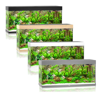 Juwel Rio 240 LED Aquarium Only