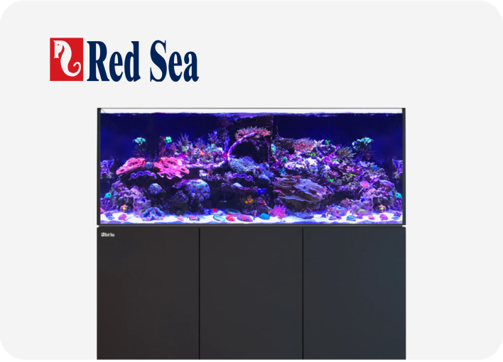 Cheapest Online Black Friday Aquarium Deals photo