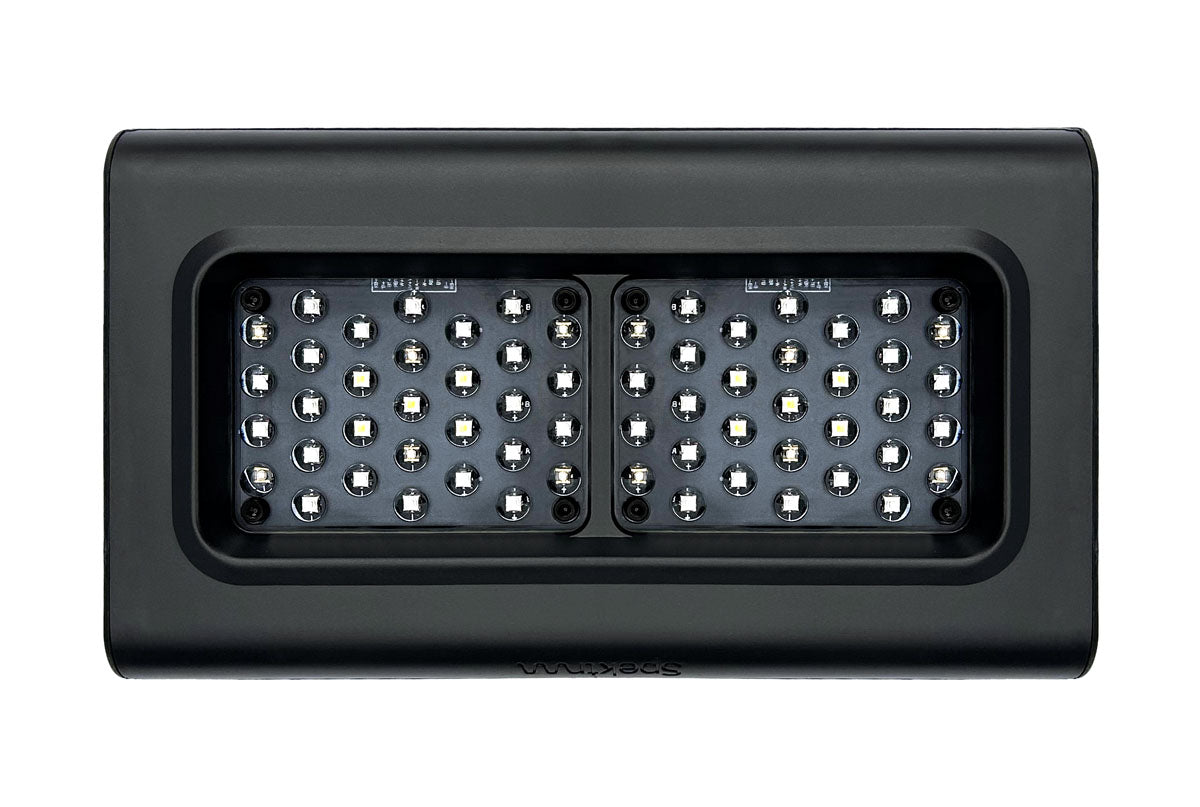 D-D Spektrum LED Light