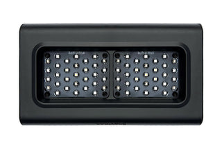 D-D Spektrum LED Light