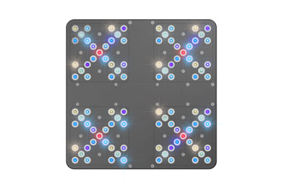 ATI Straton X LED Light