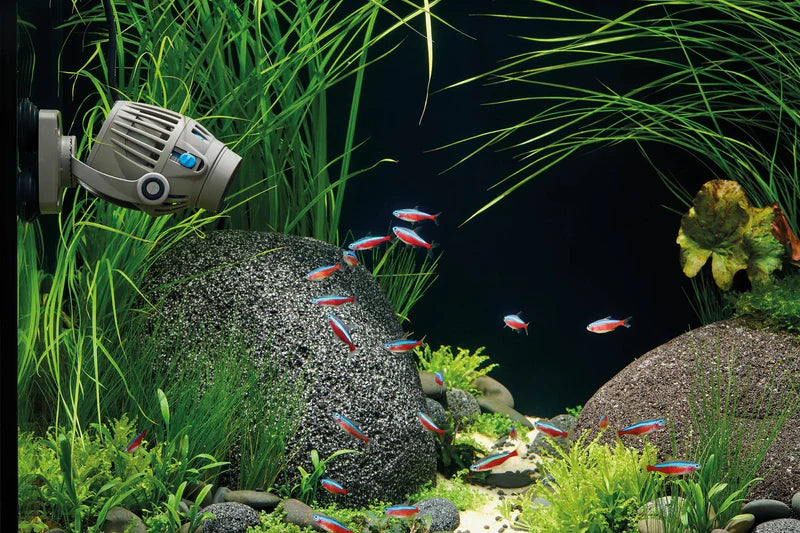 Keep Your Aquarium Flowing with Freshwater Pumps from Charterhouse Aquatics