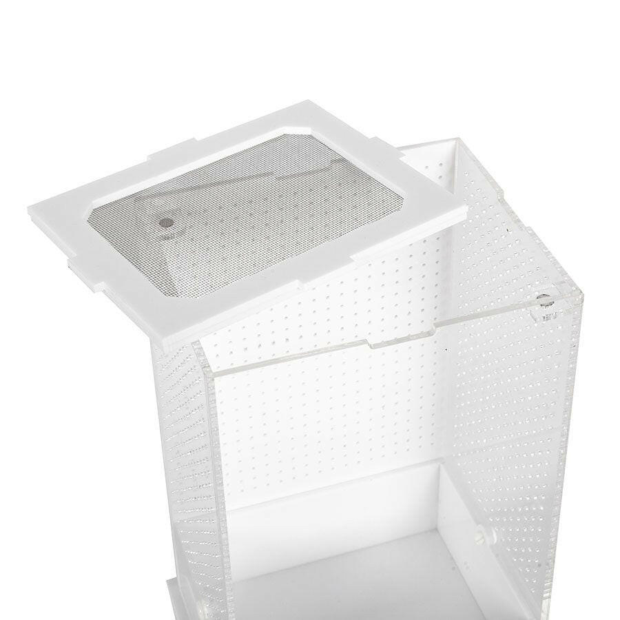 ReptiZoo White Base Insect Acrylic Box 10 × 8.5 x 15cm