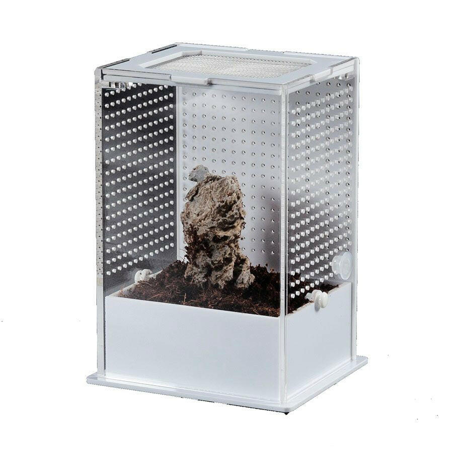 ReptiZoo White Base Insect Acrylic Box 10 × 8.5 x 15cm