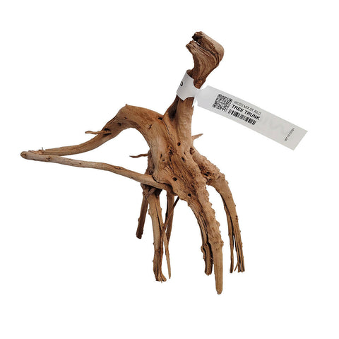 Wio Tree Trunk Wood