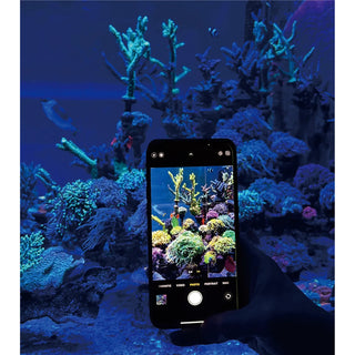 Maxspect TRUREEF Iphone Filter Lens