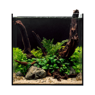 UNS Dual All-In-One 35A Cube Aquarium – 11 Gallon Rimless Tank