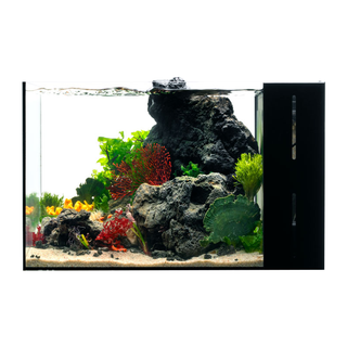 UNS Dual All-In-One 45LA Peninsula Aquarium – 9 Gallon Rimless Tank