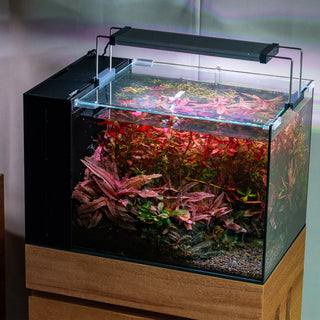 UNS Dual AIO Rimless Tank Glass Lids