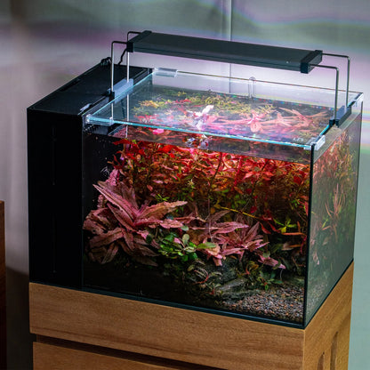 UNS Dual AIO Rimless Tank Glass Lids
