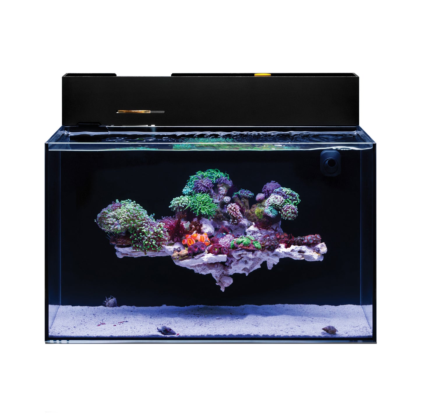 UNS Dual All-In-One 60A Aquarium – 20 Gallon Rimless Tank