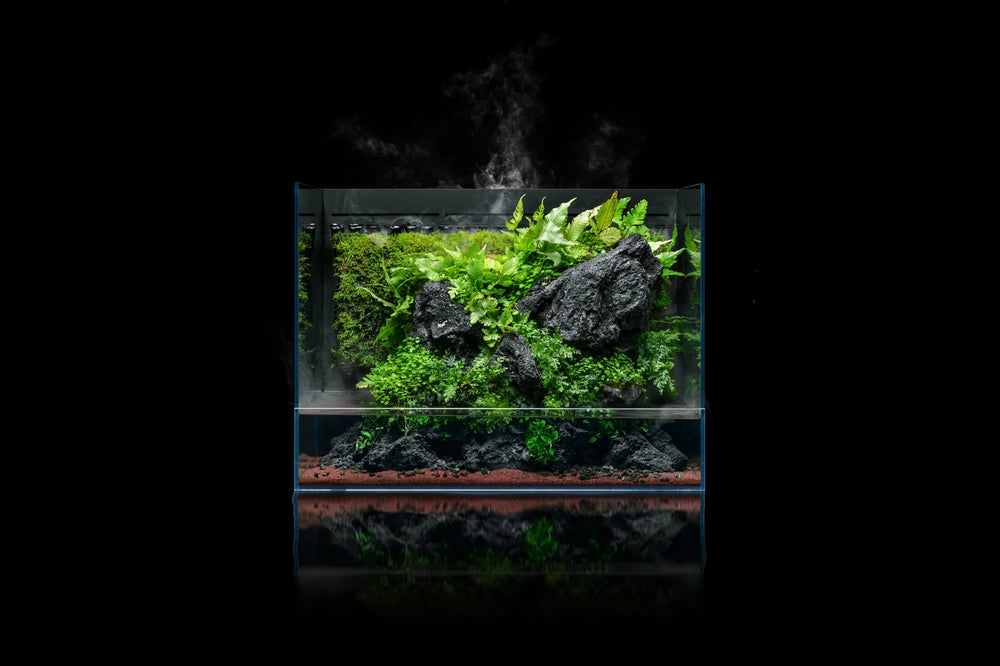 Create Your Own Rainforest with the Ultum Nature Systems Paludariums