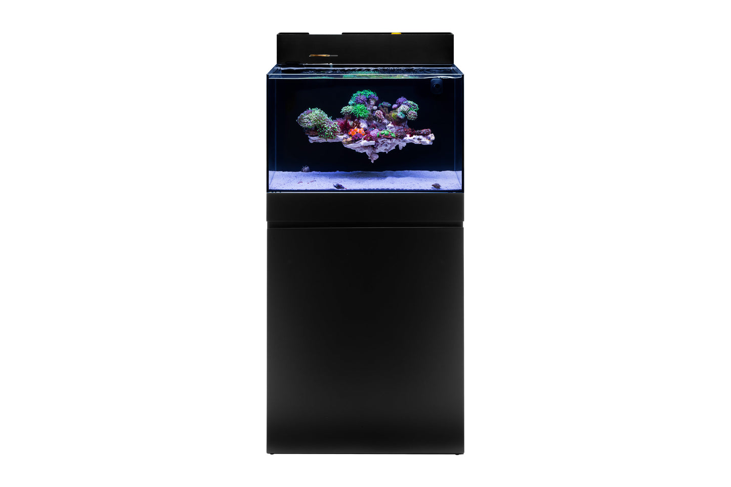 UNS Dual All-In-One 60A Aquarium – 20 Gallon Rimless Tank