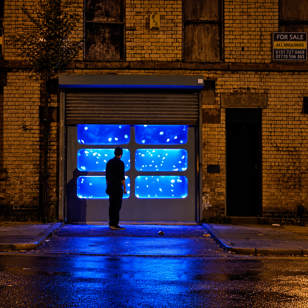 Art Installations