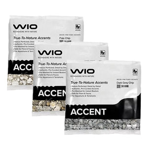 WIO Accent Petite