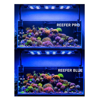 Illumagic X4 LED Reef Light.