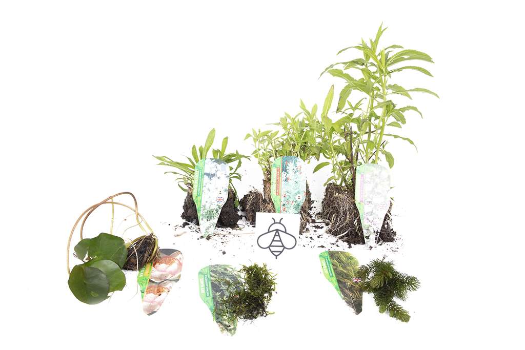 Premium Pond Starter Packs - Pond topup Packs - Oxygenating - Compost and Pots.