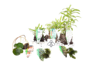 Premium Pond Starter Packs - Pond topup Packs - Oxygenating - Compost and Pots.