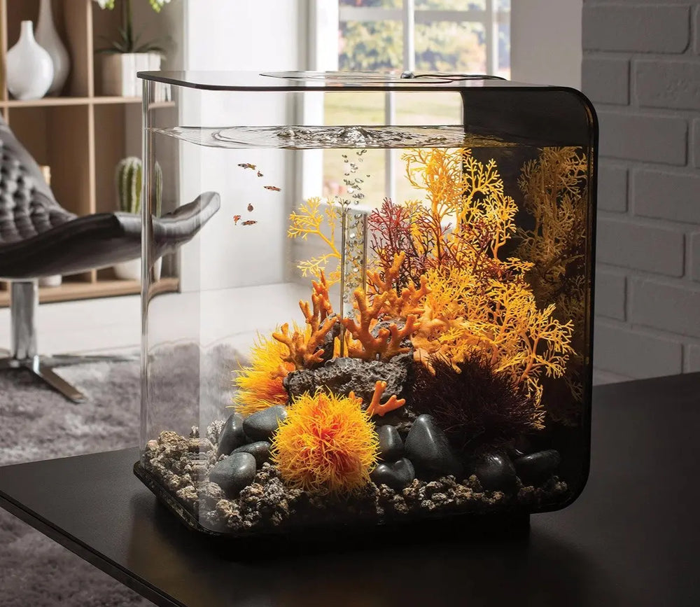 Discover the Beauty and Simplicity of biOrb Freshwater Aquariums