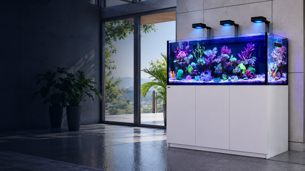 Save 10% with the Aquarium Builder
