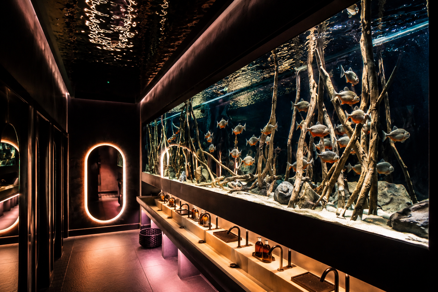 Custom Aquariums