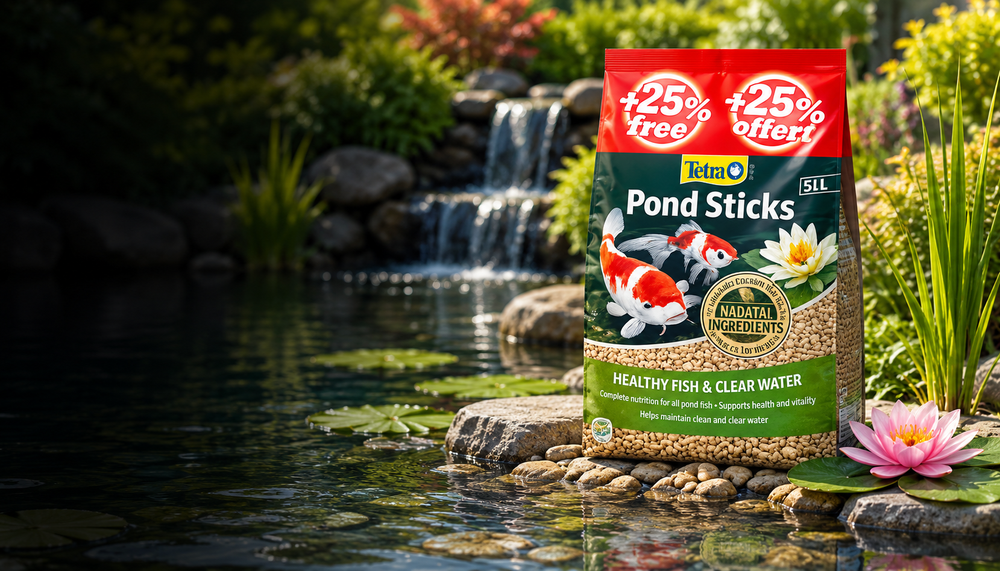 The Complete Guide to Pond Fish Food