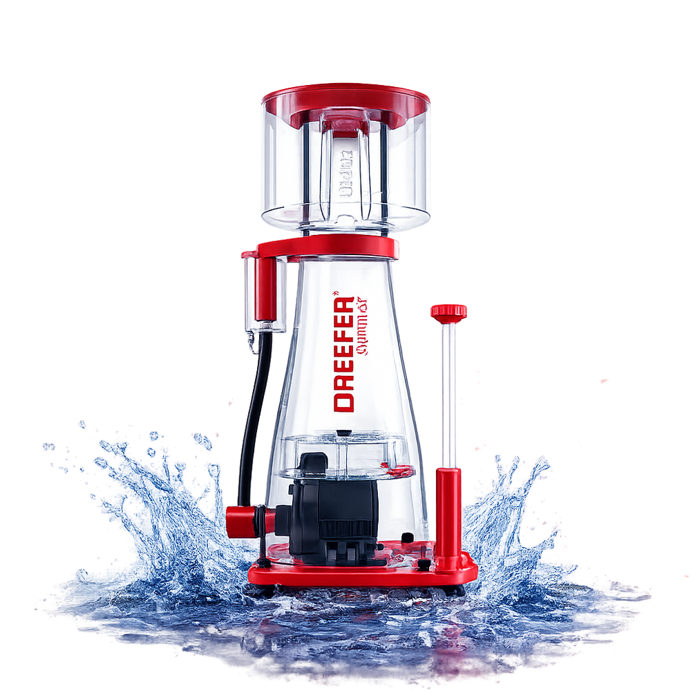 How Can a Protein Skimmer Can Benefit Your Tank?