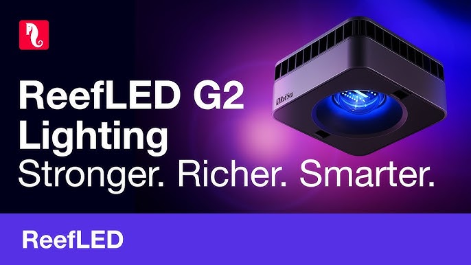 Precision Lighting for Coral Growth and Colour – Shop Red Sea ReefLED