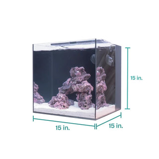 HelloReef Clownfish & Anemone Aquarium Kit