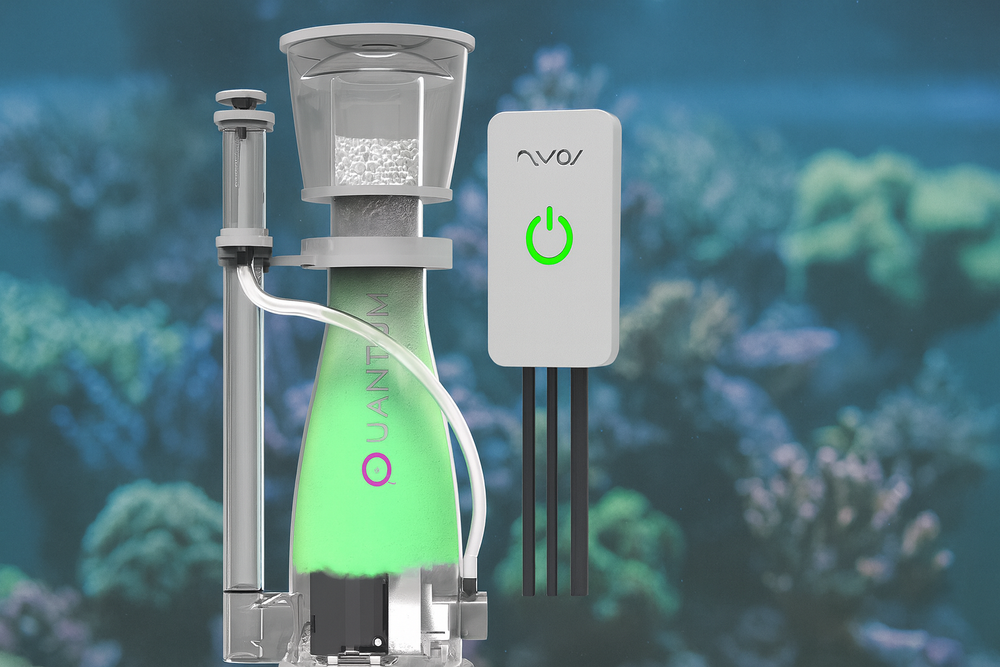 Why Choose Nyos Protein Skimmers?