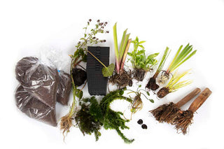 Pond Starter Packs - Pond topup Packs - Oxygenating - Compost and Pots Potted.