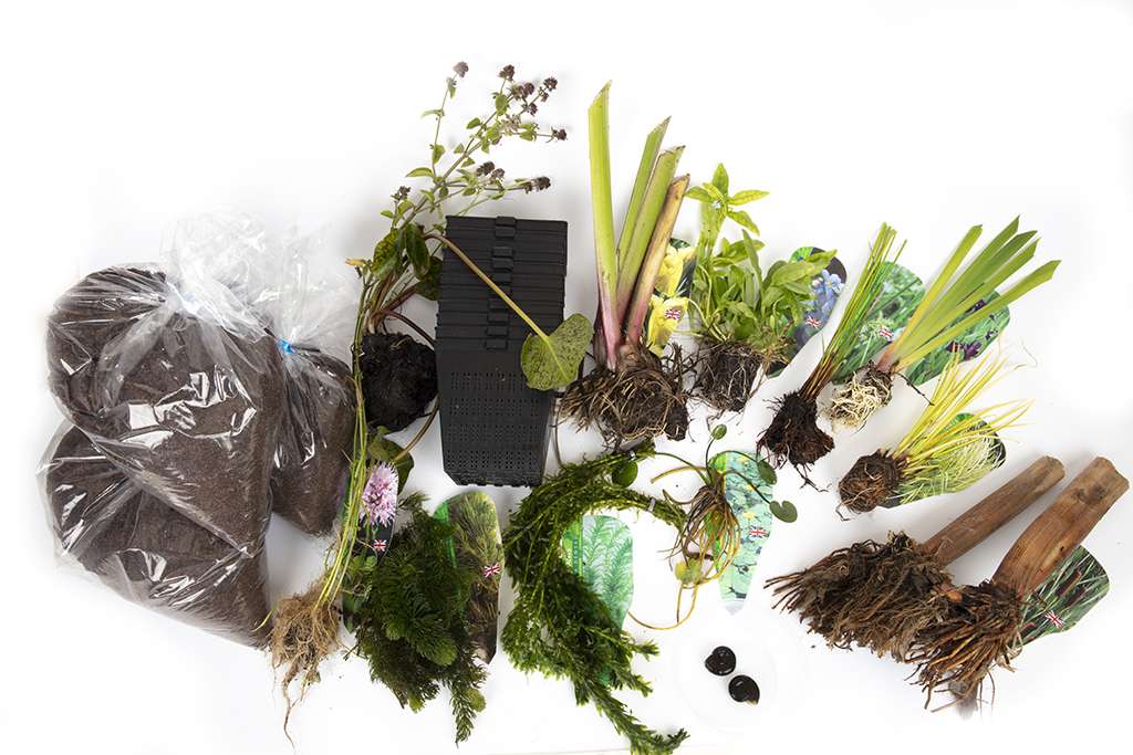 Pond Starter Packs - Pond topup Packs - Oxygenating - Compost and Pots Potted.