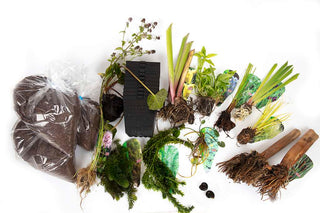 Pond Starter Packs - Pond topup Packs - Oxygenating - Compost and Pots Potted.