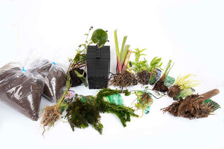 Pond Starter Packs - Pond topup Packs - Oxygenating - Compost and Pots Potted.