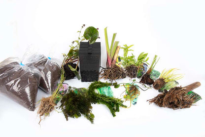 Pond Starter & top up Packs - Oxygenating - Compost and Pots.