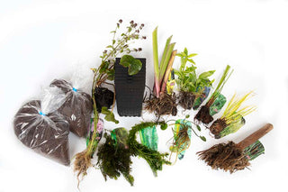 Pond Starter Packs - Pond topup Packs - Oxygenating - Compost and Pots Potted.