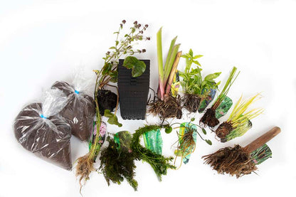 Pond Starter Packs - Pond topup Packs - Oxygenating - Compost and Pots Potted.