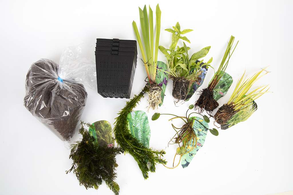 Pond Starter & top up Packs - Oxygenating - Compost and Pots.