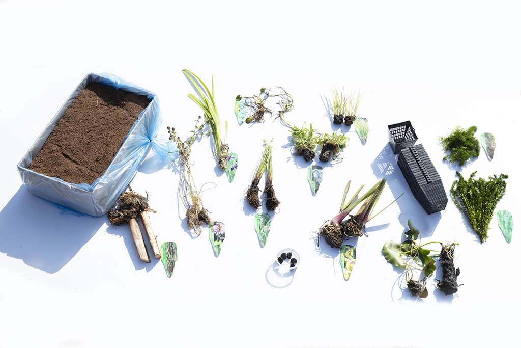 Pond Starter & top up Packs - Oxygenating - Compost and Pots.