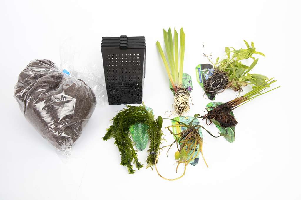 Pond Starter Packs - Pond topup Packs - Oxygenating - Compost and Pots Potted.